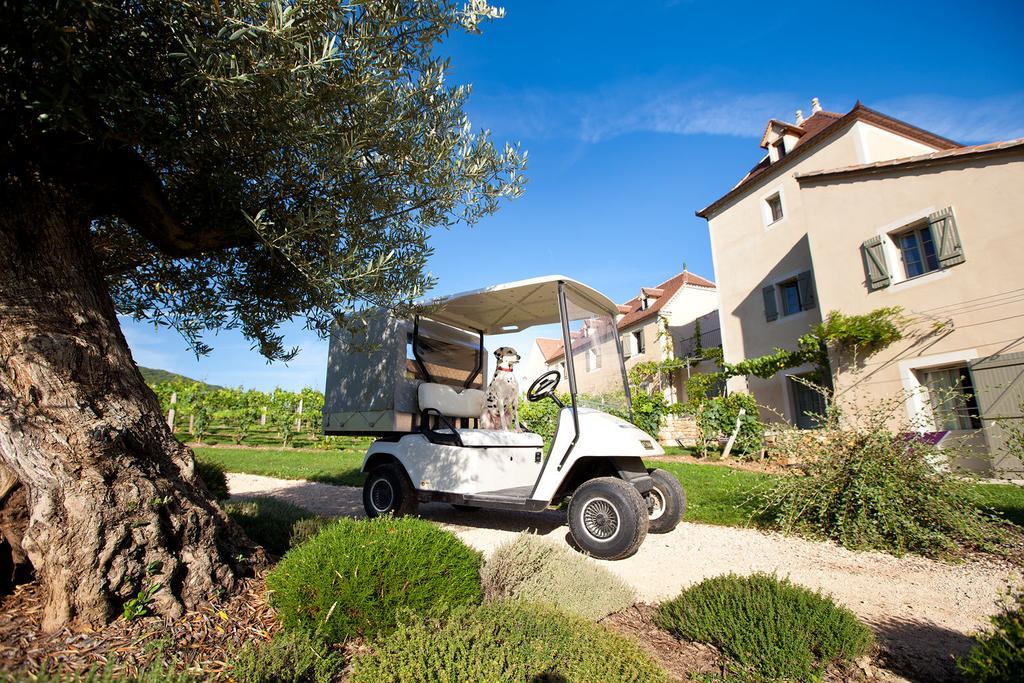 Hotel Hotel-spa Le Saint Cirq