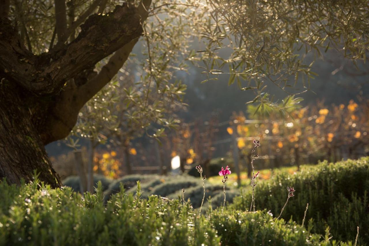 Hotel Hotel-spa Le Saint Cirq 3*